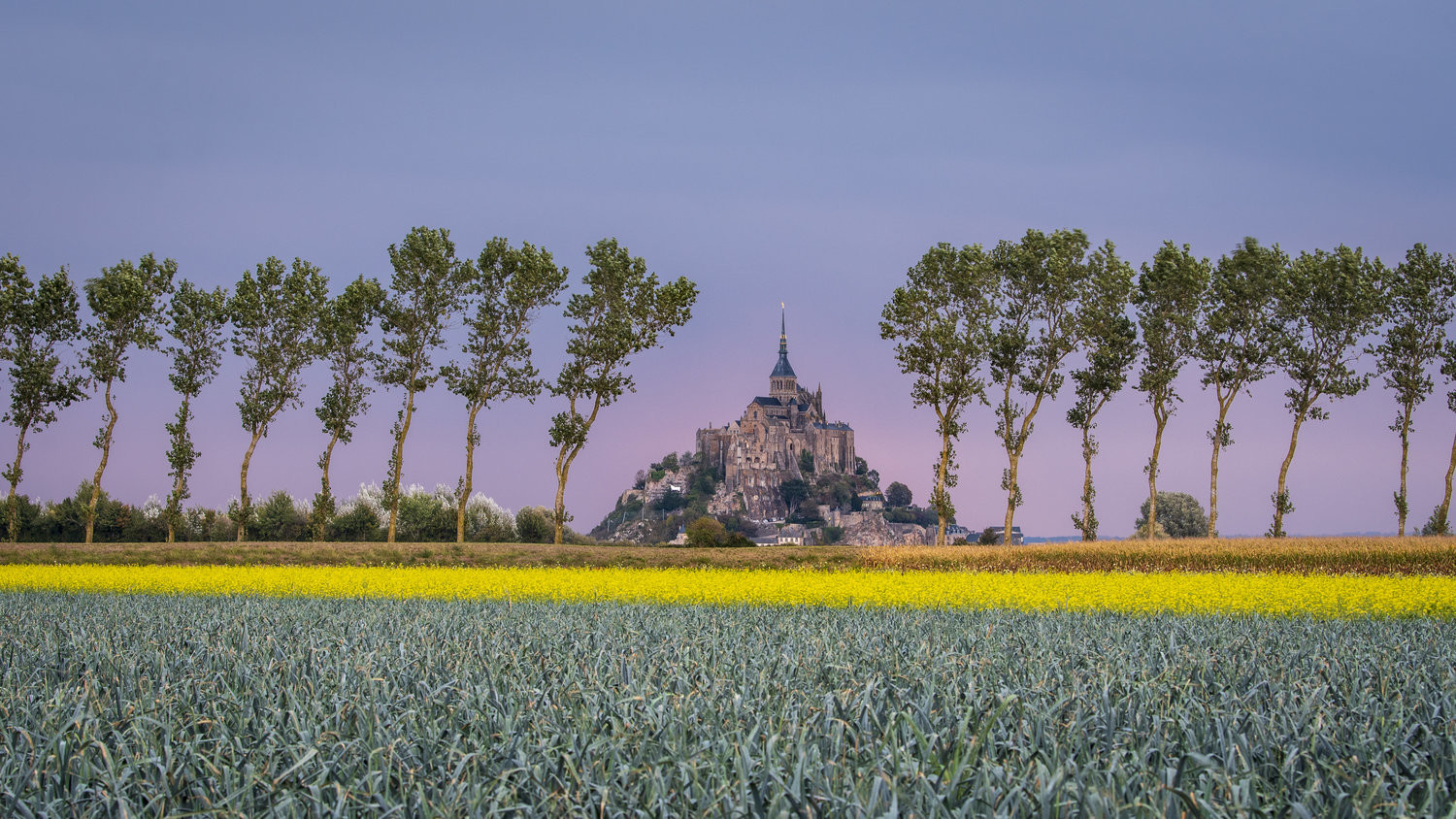 Мон-Сен-Мишель (Mont Saint-Michel) — где находится, история, приливы, аббатство, как добраться и что посмотреть Мон-Сен-Мишель (Mont Saint-Michel) — где находится, история, приливы, аббатство, как добраться и что посмотреть