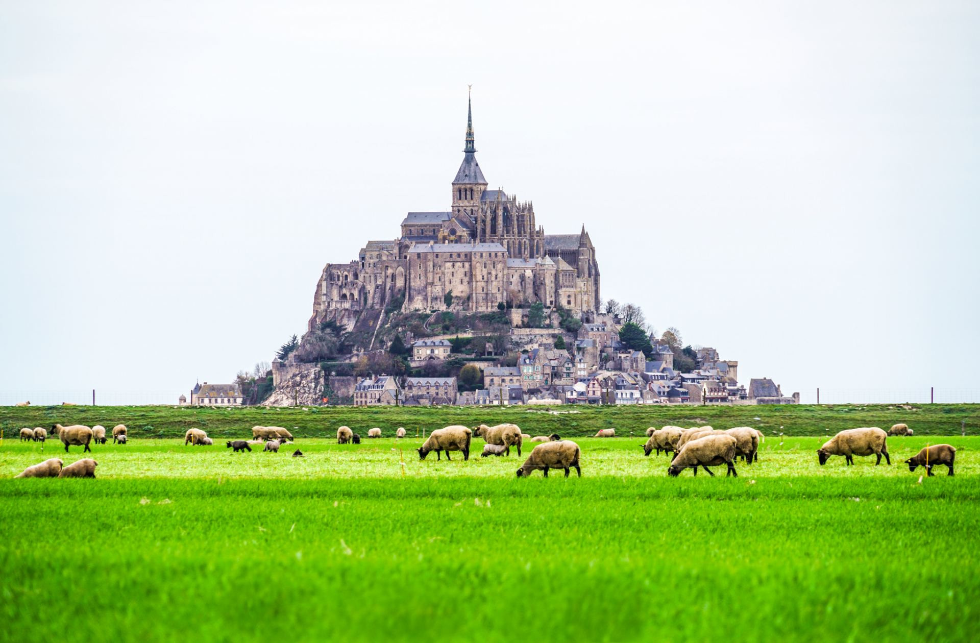 Мон-Сен-Мишель (Mont Saint-Michel) — где находится, история, приливы, аббатство, как добраться и что посмотреть Мон-Сен-Мишель (Mont Saint-Michel) — где находится, история, приливы, аббатство, как добраться и что посмотреть