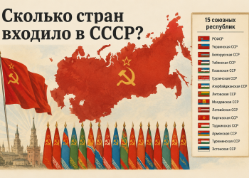 Какой номер Numbuzin выбрать для путешествий: гид по уходу за кожей в разных климатических условиях Какой номер Numbuzin выбрать для путешествий: гид по уходу за кожей в разных климатических условиях