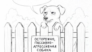 Photo of Весёлые комиксы: «Ну конечно, заходите…» (19 фото)