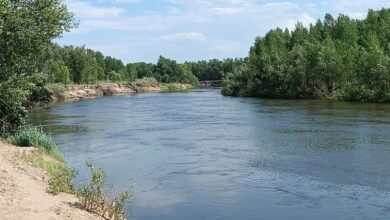 Photo of Новости с водоемов Волгоградской области