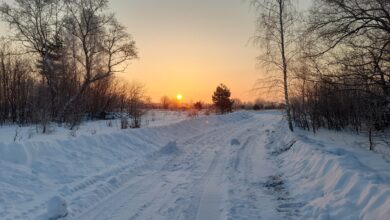 Photo of Охота с засидки: лиса и заяц в один день