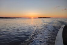 Photo of И море Белое, и щёки у казарки…