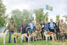 Photo of Саратовская выставка охотничьих собак