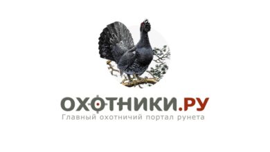 Photo of Основные части оружия ремонтировать самому нельзя
