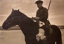 Photo of Новиков-Прибой: судьба в морских узлах