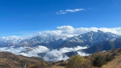 Photo of Северная Осетия: благородный кавказский олень