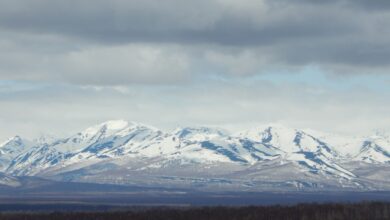 Photo of На Камчатку с лайками