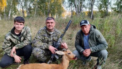 Photo of Охота на гонного самца косули на Южном Урале