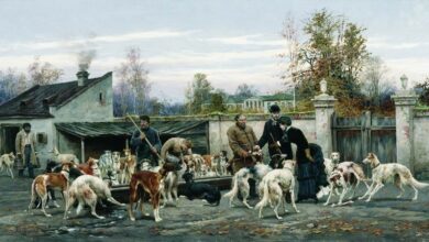 Photo of Псарный двор XIX века. Как содержали русских борзых в Российской империи
