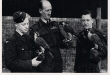 Photo of Ловчие птицы над Кремлём