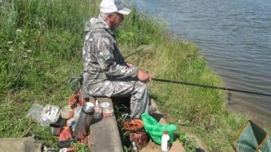 Photo of Рыболовные вести из Марий Эл