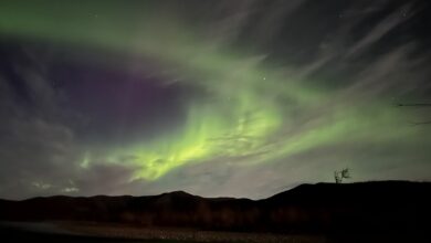 Photo of КВ-радиосвязь через смартфон