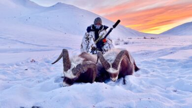 Photo of SAG Spear – прорыв года или «Сайга» за много денег?