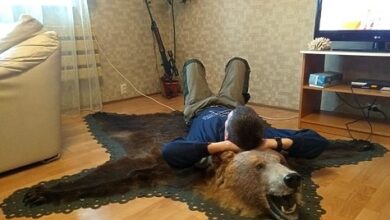 Photo of Поправки не пройдут — мы очень надеемся