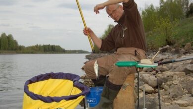 Photo of Некоторые особенности ловли осенней плотвы