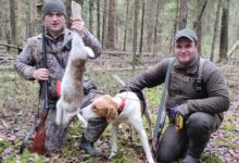 Photo of Звуковые и навигационные устройства для охоты с собаками