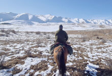 Photo of Горный сухостой