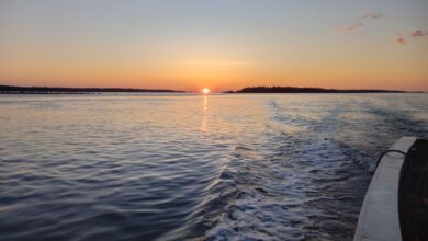 Photo of И море Белое, и щёки у казарки…