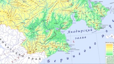 Photo of Экспресс-троеборье. Охота на снежного барана