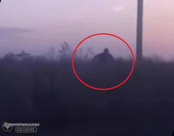 В Башкортостане сняли на видео Снежного Человека, бегущего за автомобилем 