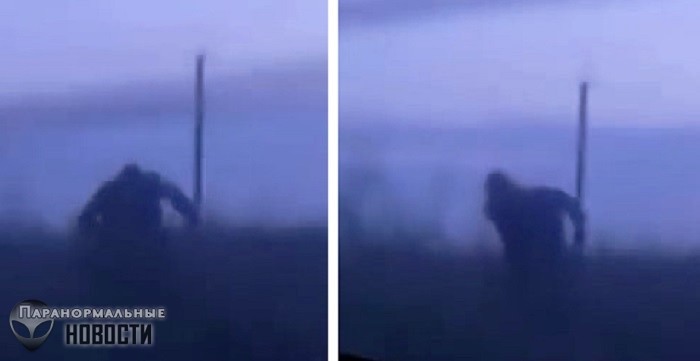 В Башкортостане сняли на видео Снежного Человека, бегущего за автомобилем 
