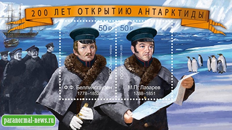 &laquo;Можно найти даже грибы&raquo;&lrm;: Тайны ископаемого леса Антарктиды 