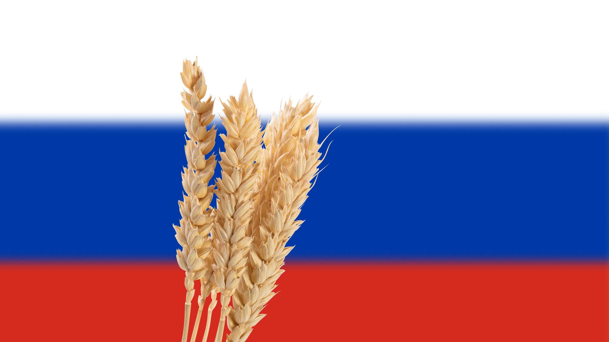 Пошлины на транзит зерна из РФ устанавливает ЕС: в Литве назвали планы Риги пиаром