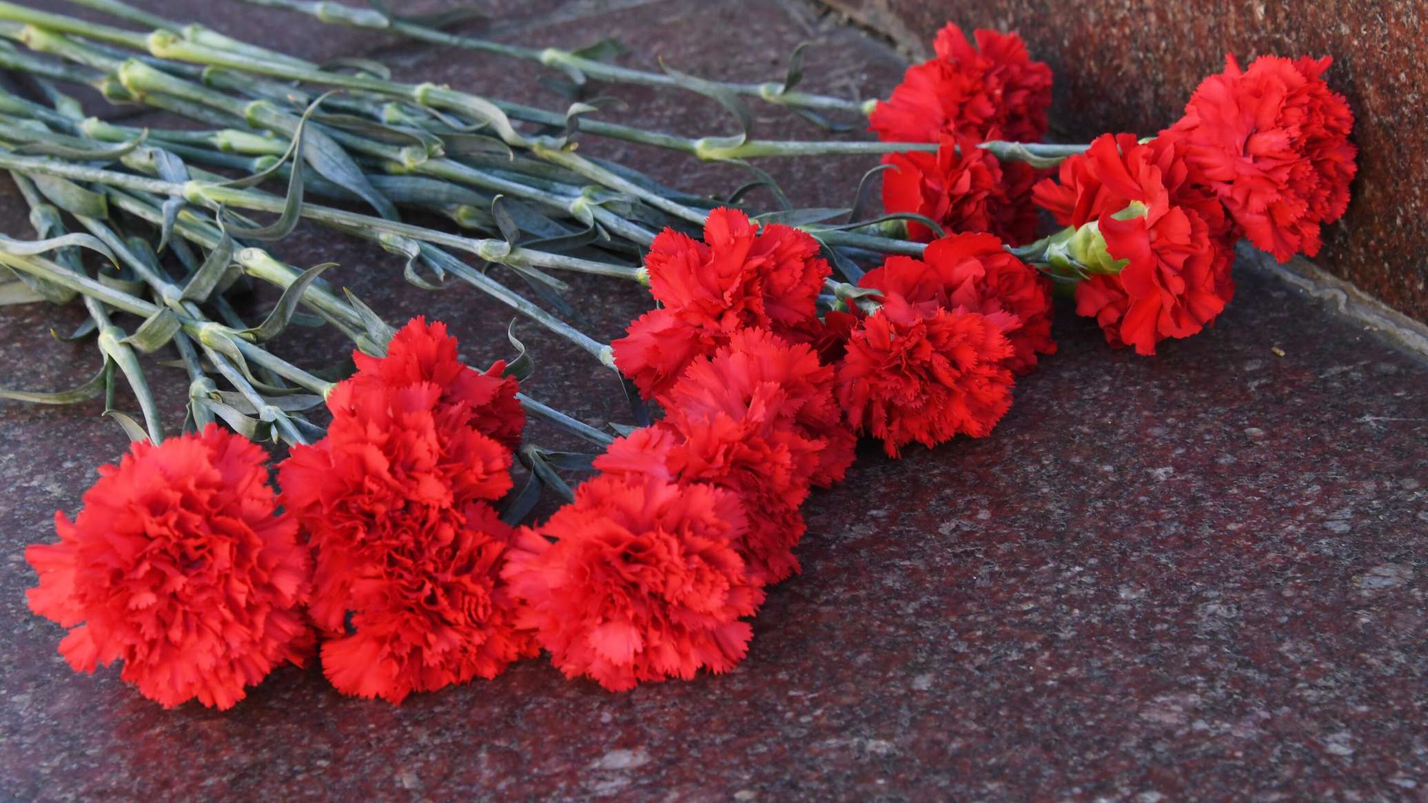 Из Эстонии в РФ вернули медаль погибшего советского бойца
