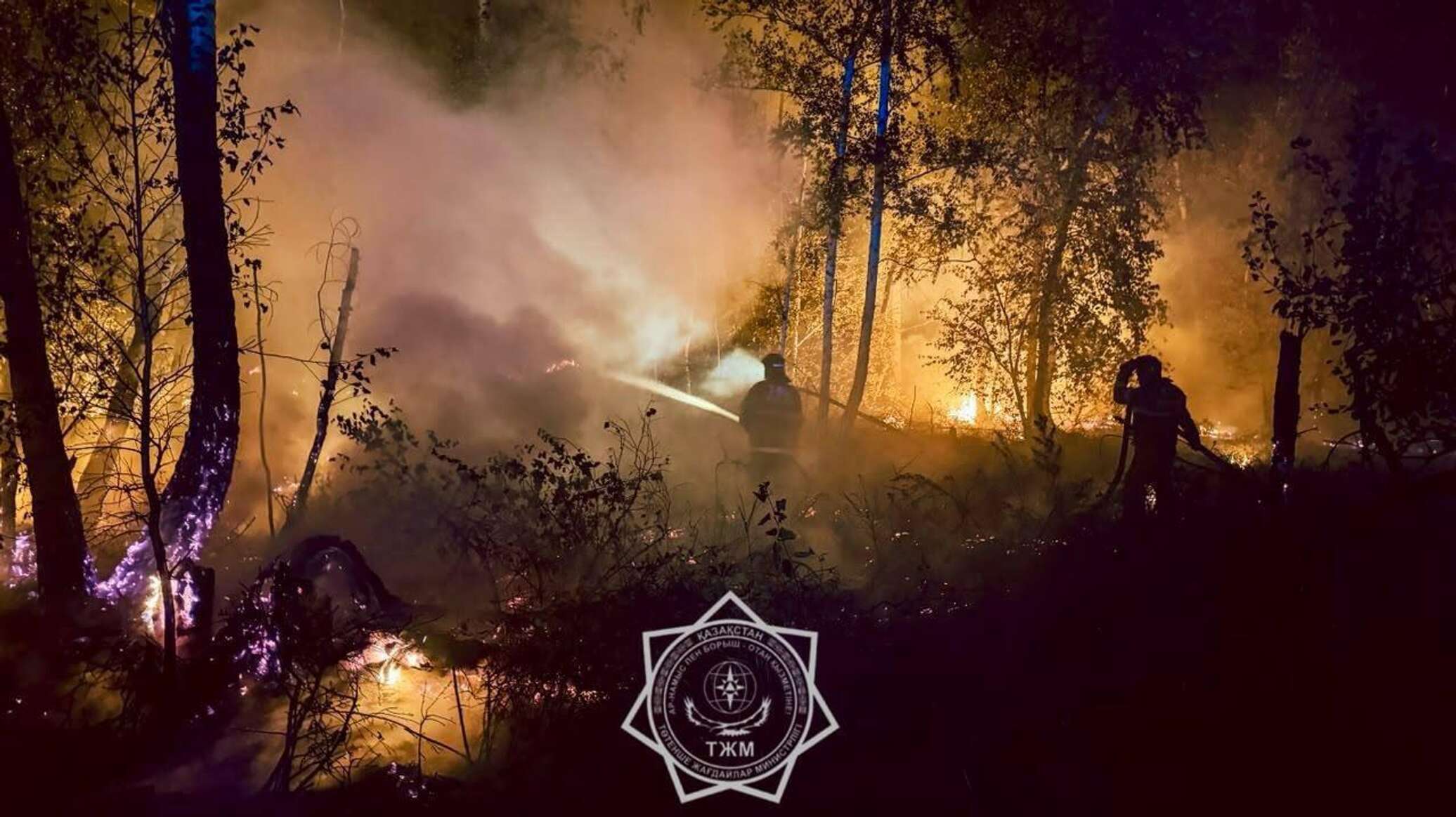 Қостанай облысында бірнеше елді мекенде өрт шықты