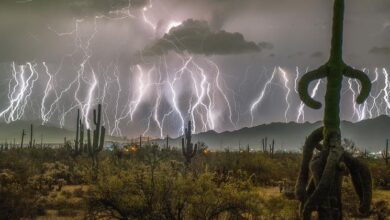 Photo of Strong El Niño ahead, UN weather agency warns