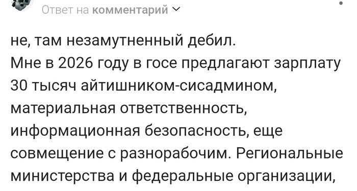 Айтишник за 30000 руб в 2026 году!!! – 21.07.26 14:20