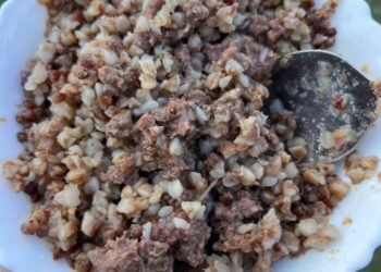 КАШИ и МЯСО я не нашёл аналог, даже Михеев и Павлов в шоке – 21.07.26 06:04