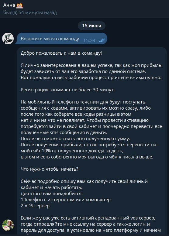 Осторожно, новый развод! Как меня пытались обмануть с "заработком на SMS-кодах" через olduviks.ru и фейковый криптокошелек