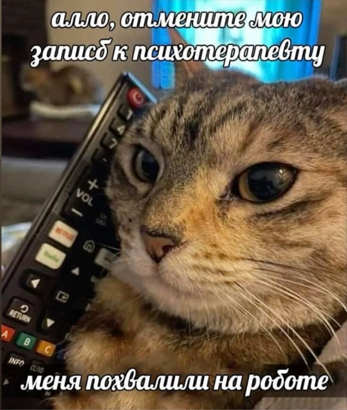 Хорошо что я работаю сам на себя - 19.07.26 19:22