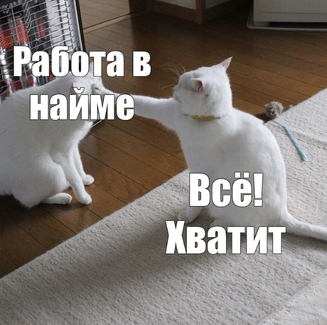 МЕНЯ ПОЗВАЛИ НА РАБОТУ МЕЧТЫ И Я РЕШИЛА НАЧАТЬ ВСЕ ИНАЧЕ - 22.07.26 16:03