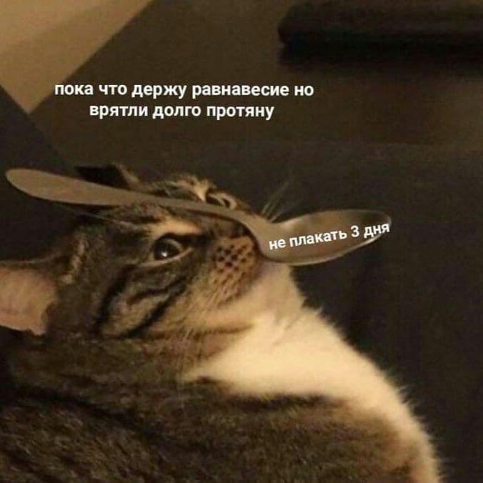 А скоро на работу и работать мне опять с людьми... - 14.07.26 13:30