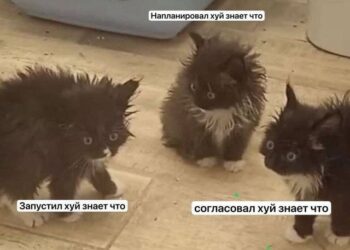 У кого так ?) – 22.07.26 14:38