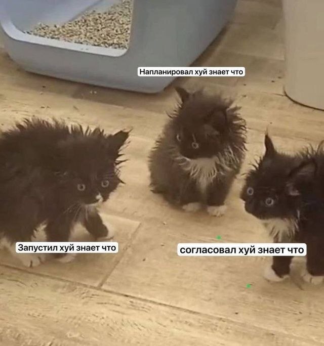 У кого так ?) - 22.07.26 14:38