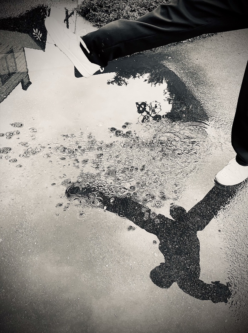 Ночной вулкан и&nbsp;попугай на арбузах: 13 победителей iPhone Photography Awards 2026