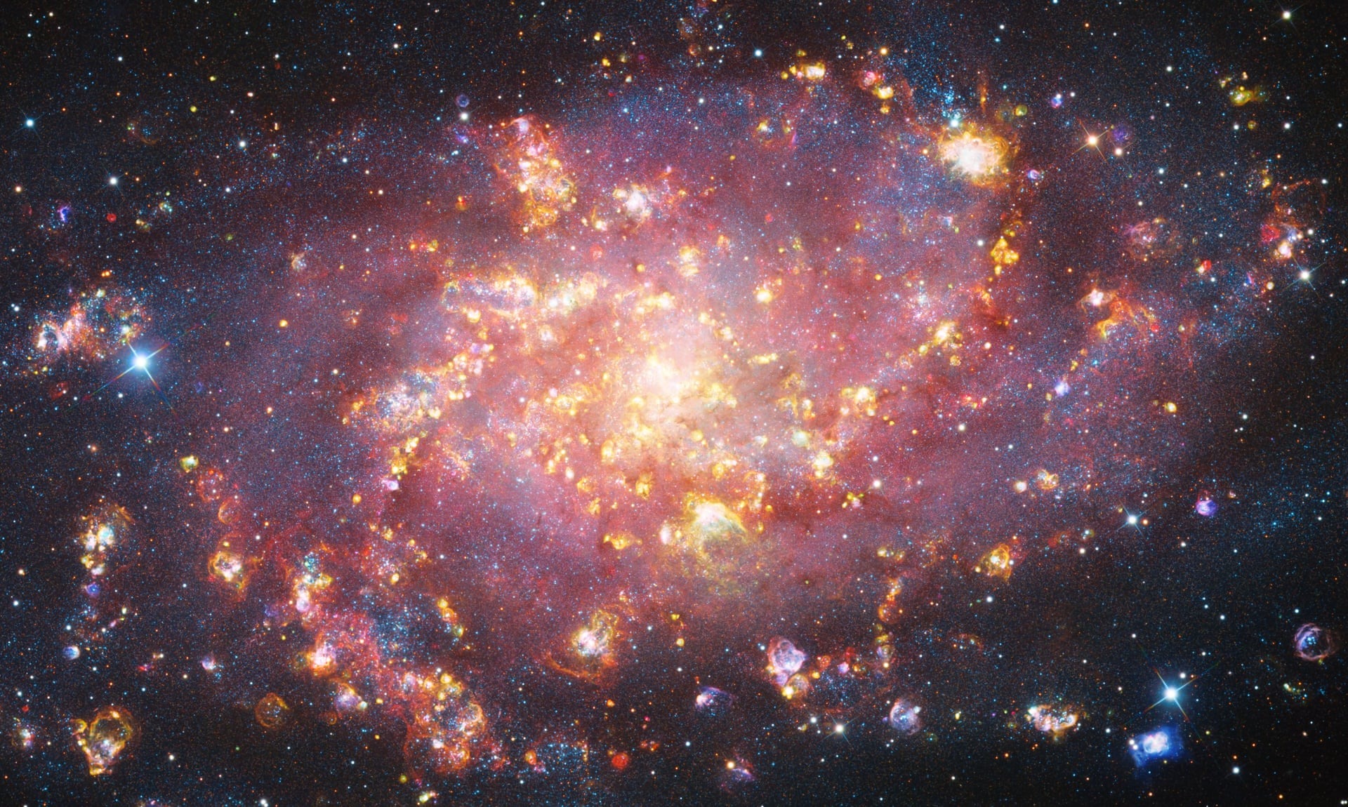 Солнечная бездна и огромная комета: 20 лучших фото с Astronomy Photographer of the Year 2025 Солнечная бездна и огромная комета: 20 лучших фото с Astronomy Photographer of the Year 2025