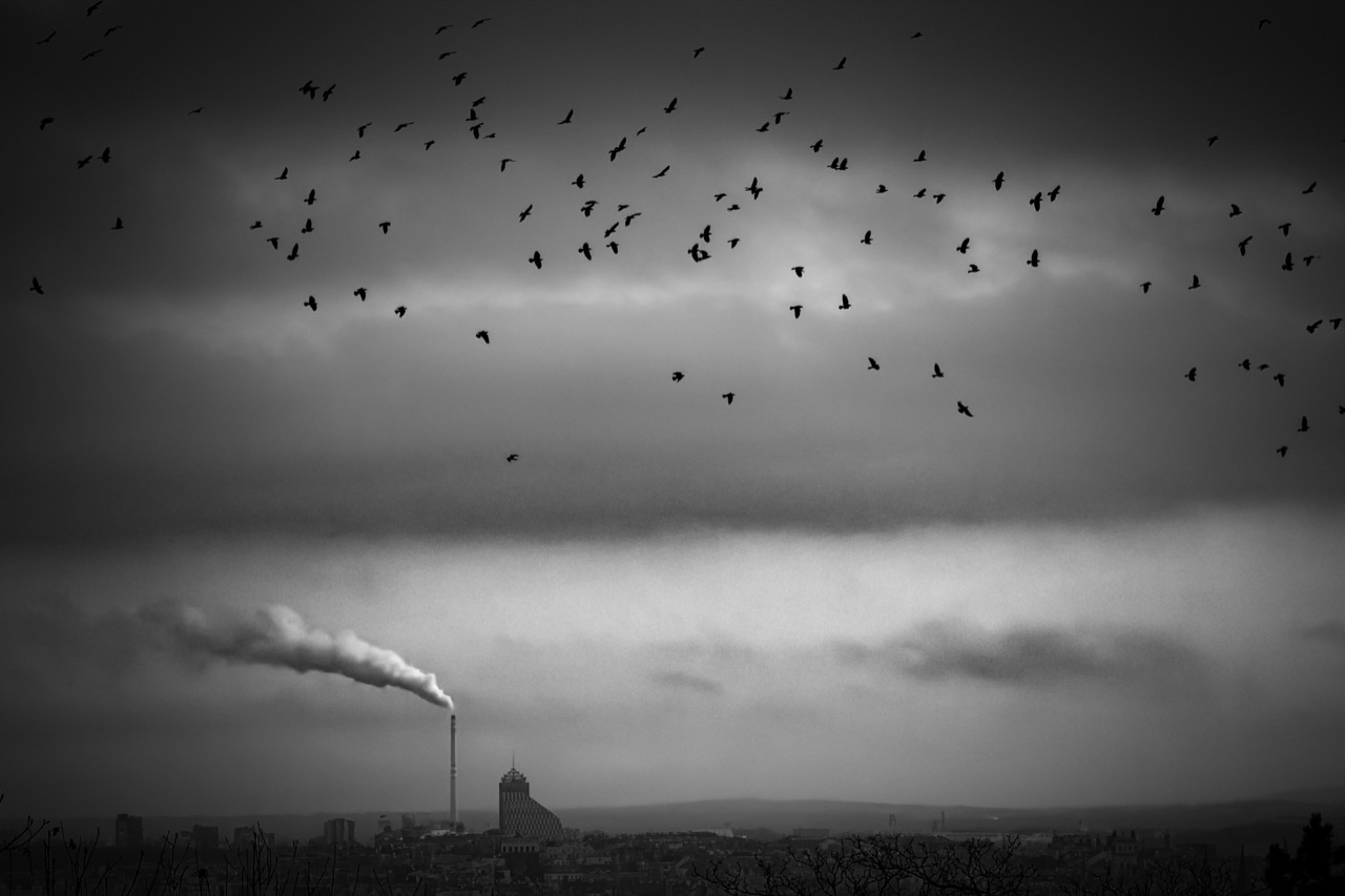 Ночной вулкан и&nbsp;попугай на арбузах: 13 победителей iPhone Photography Awards 2026