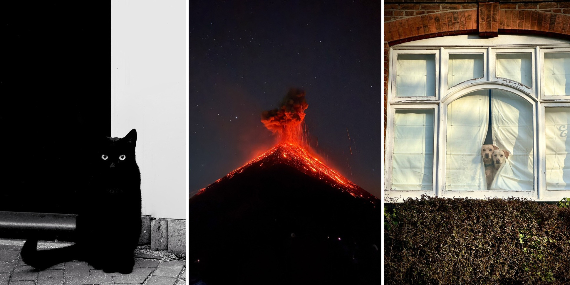 Ночной вулкан и&nbsp;попугай на арбузах: 13 победителей iPhone Photography Awards 2026
