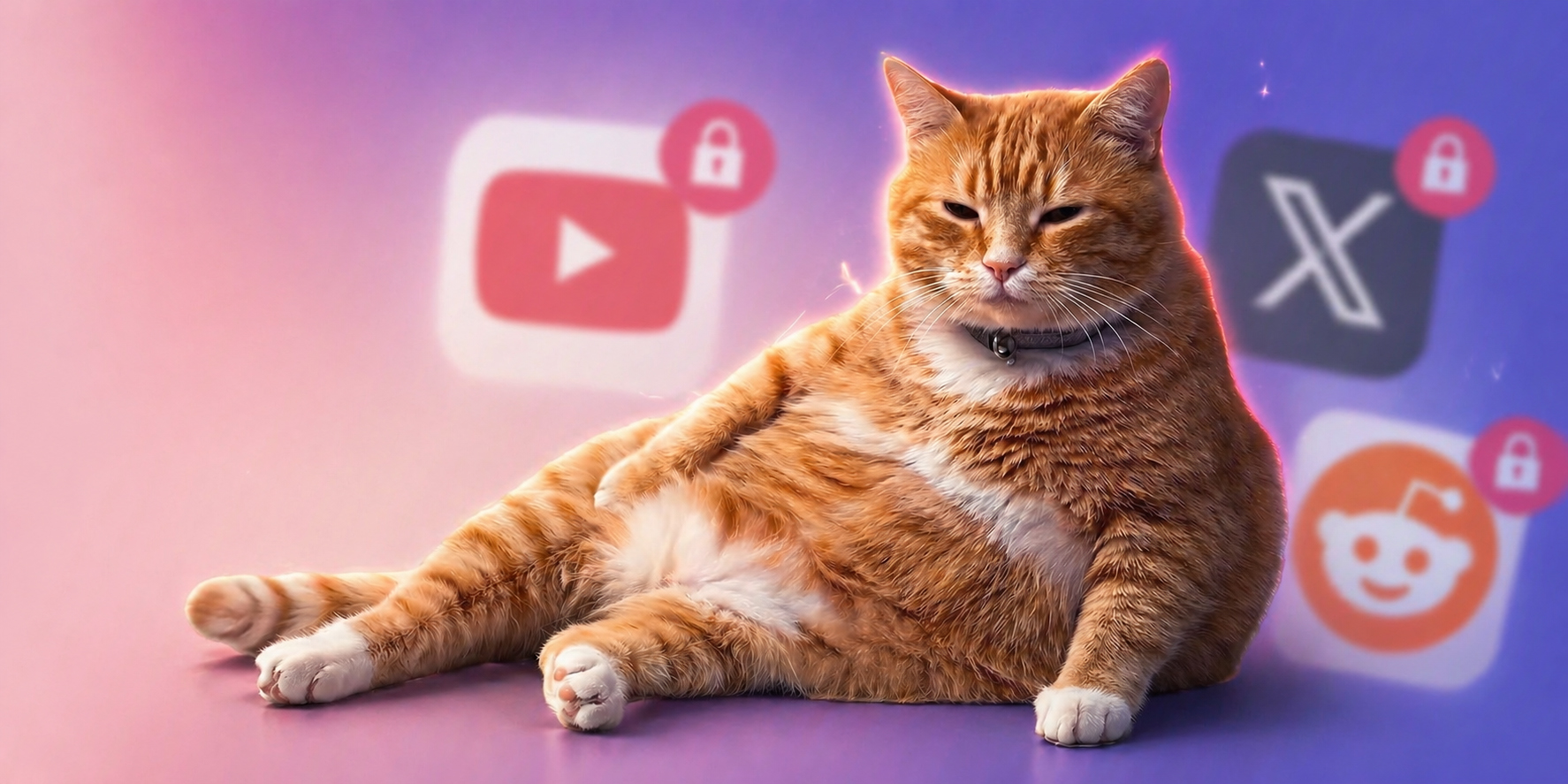 &laquo;Он такой пухленький&raquo;: для Chrome вышло расширение с&nbsp;сонным рыжим котом, который не даёт листать соцсети