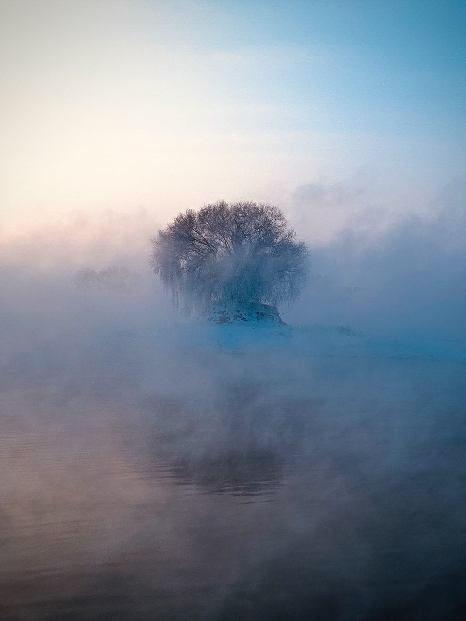 Ночной вулкан и&nbsp;попугай на арбузах: 13 победителей iPhone Photography Awards 2026