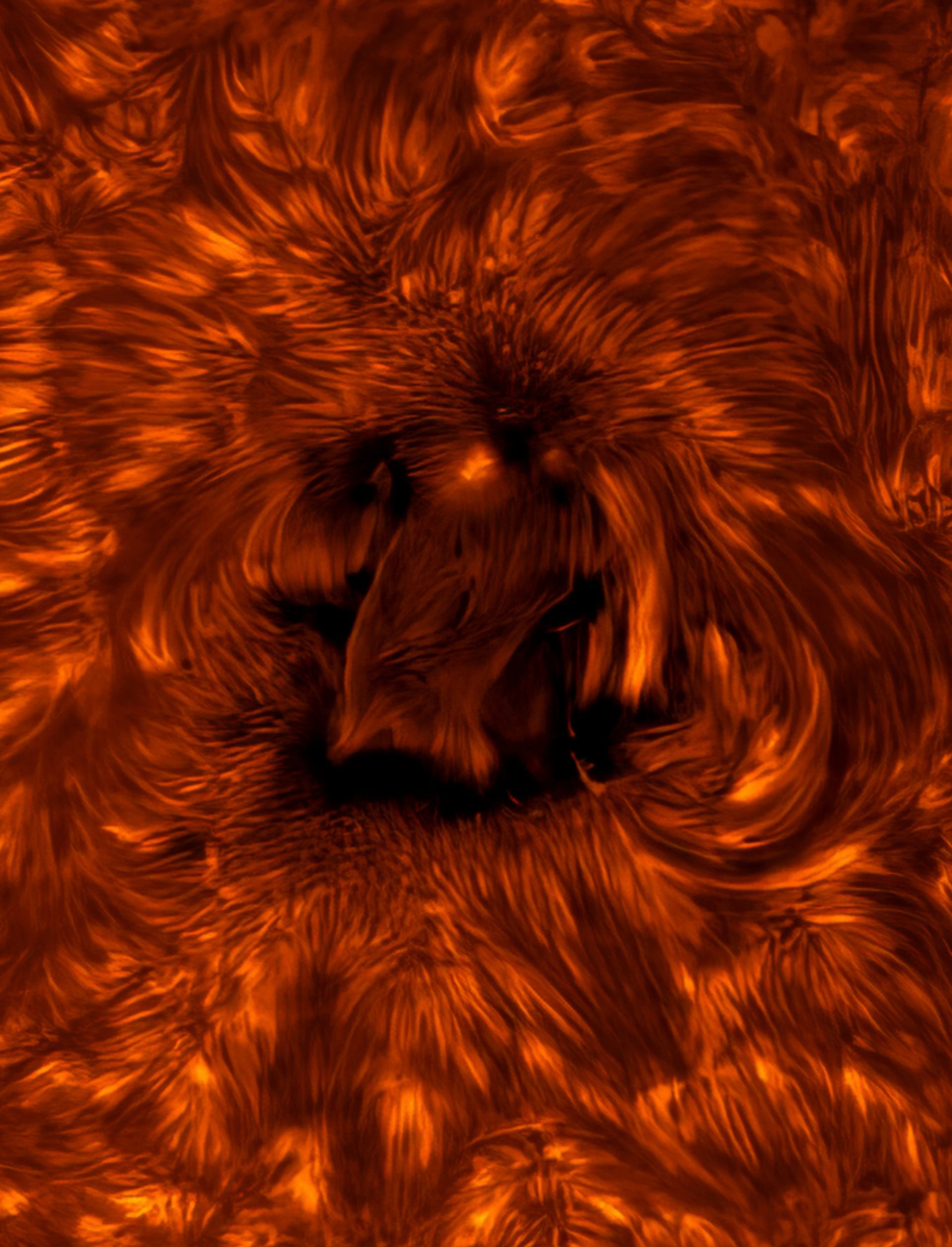 Солнечная бездна и огромная комета: 20 лучших фото с Astronomy Photographer of the Year 2025 Солнечная бездна и огромная комета: 20 лучших фото с Astronomy Photographer of the Year 2025