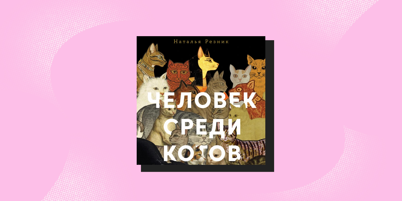 Не такие, как мы думали: 5 книг о животных, которые вас удивят Не такие, как мы думали: 5 книг о животных, которые вас удивят