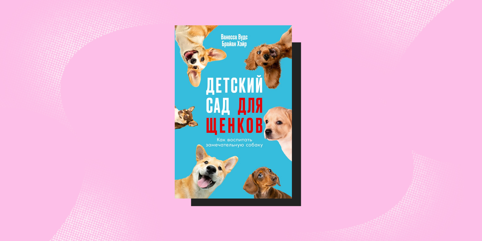 Не такие, как мы думали: 5 книг о животных, которые вас удивят Не такие, как мы думали: 5 книг о животных, которые вас удивят