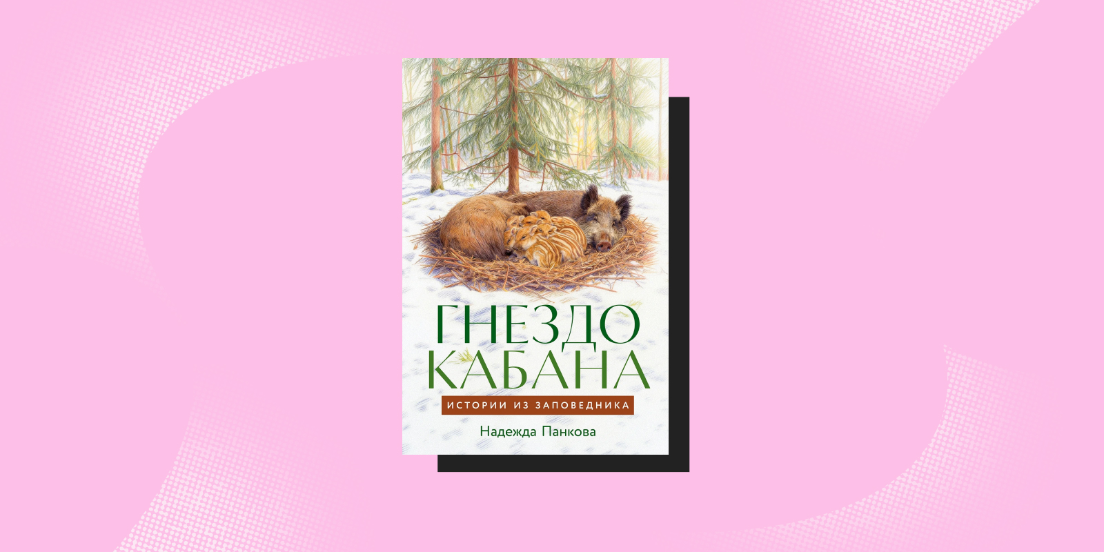 Не такие, как мы думали: 5 книг о животных, которые вас удивят Не такие, как мы думали: 5 книг о животных, которые вас удивят