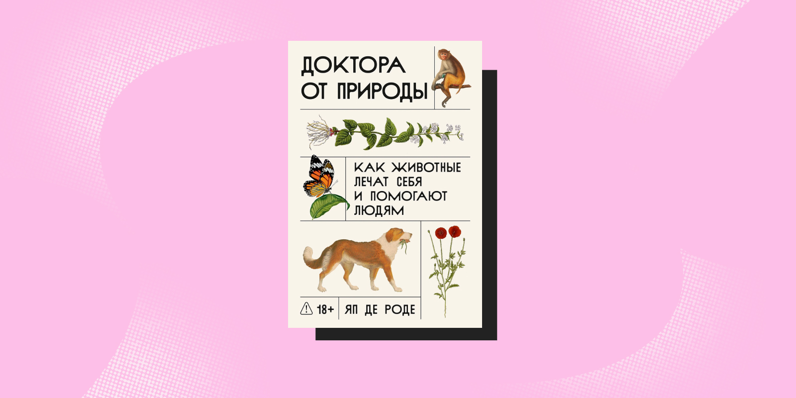 Не такие, как мы думали: 5 книг о животных, которые вас удивят Не такие, как мы думали: 5 книг о животных, которые вас удивят